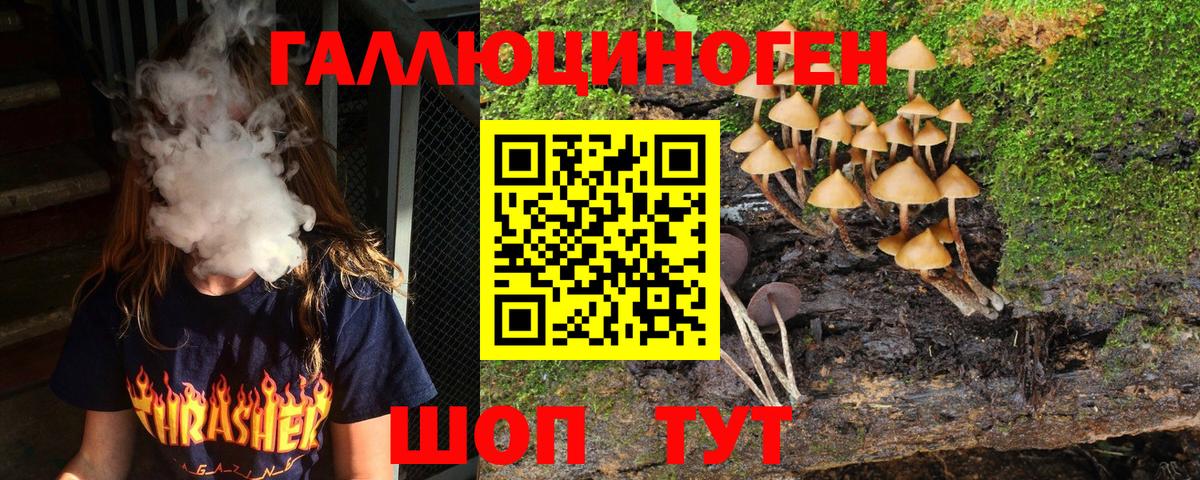 Котовск  Псилоцибиновые грибы Cubensis  даркнет сайт  Вход с VPN 