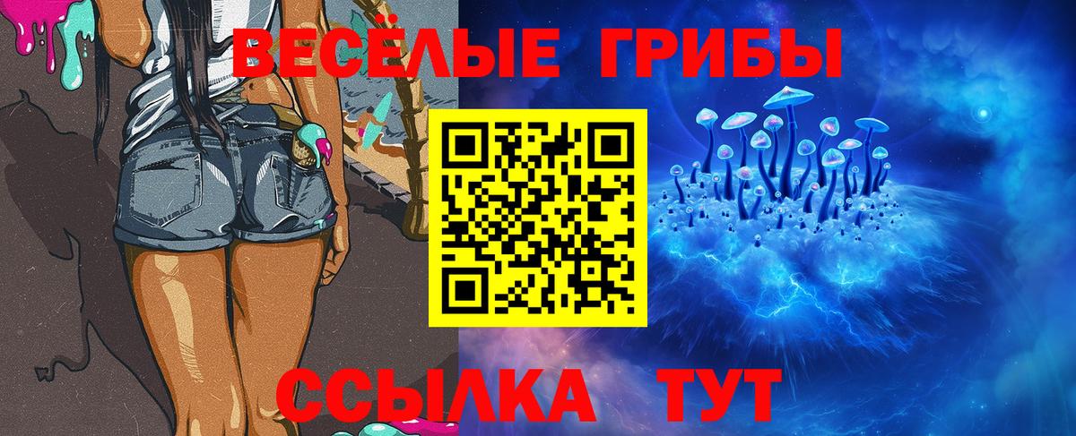 Галлюциногенные грибы GOLDEN TEACHER Котовск